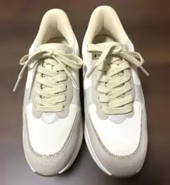 Item thumbnail for item 5121d234-c861-45b8-b156-9a5fefc21a4c