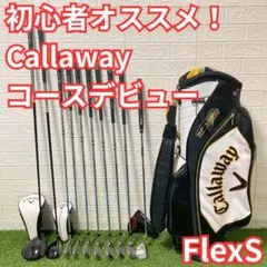 Callaway Titleist】名器揃い✨豪華ゴルフクラブフルセット - メルカリ