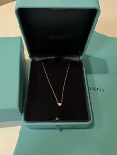 s*i様 ティファニー バイザヤード ダイヤ ネックレス　0.14-0.17ct s*i様 ティファニー バイザヤード ダイヤ ネックレス 0.14-0.17ct