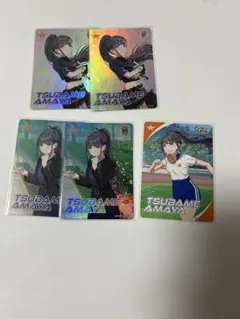 雨夜燕 カードフォリオ 15枚 묶음 판매