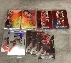 バレーボール 日本代表 カード9枚セット