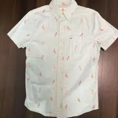 Hollister フラミンゴ柄 半袖シャツ XSのサムネイル