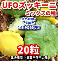 ミオ様 リクエスト 2点 まとめ商品