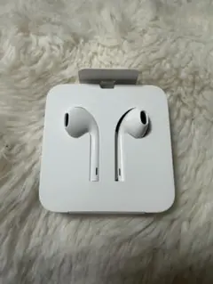 新品未使用品 Apple純正イヤホン （有線タイプ）ライトニング