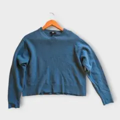 UNIQLO プレミアムラムクルーネックセーター（長袖）