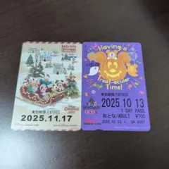 2026年最新】ディズニーリゾートライン フリーパスの人気アイテム
