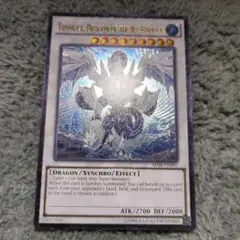 遊戯王 氷結界の龍 トリシューラ 英語版 DT デュエルターミナル