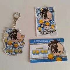 イナズマイレブン イナイレ DMM フレフレンズ 缶バッジ アクキー 不動
