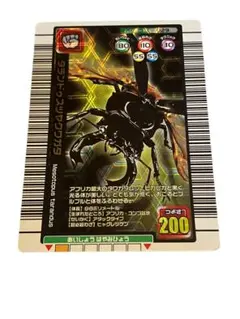 ムシキング　タランドゥスツヤクワガタ　ムシカード029