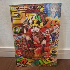 カード未開封 週刊少年ジャンプ 33号 2026 ワンピース 付録 本 - メルカリ