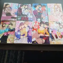 tl小説 密夢　ミエル　オパール　ベリーズ　ティアラ文庫　8冊セット