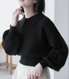 BONLECILL ボリュームスリーブ ニットポロ クロップドプルオーバーのサムネイル