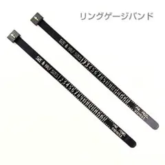 Item thumbnail for item 27e17f2b-649f-461f-b2d7-7d981fe2a2f4