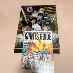 阪神タイガース 読売ジャイアンツ 伝統の一戦 クリアファイル　ガイドセット