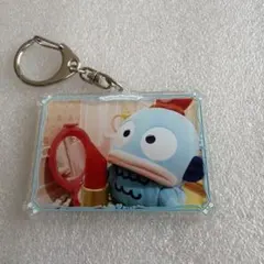 サンリオピューロランド限定ビジュアルアクリルキーホルダー　ハンギョドン
