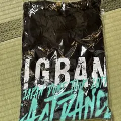 ◎即日発送本日のみお値下げ◎ BIG BANG ラストダンス　Tシャツ　Lサイズ