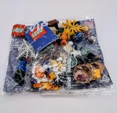 LEGO VIP☆非売品☆40608 『ハロウィンファン』