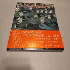 Item thumbnail for item 452798b8-7516-477c-a589-7ec595cd8ef3