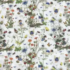 SALE！ドイツ輸入生地　アクファクトゥム　75×50cm