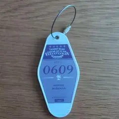 2026年最新】島倉りか キーホルダーの人気アイテム - メルカリ