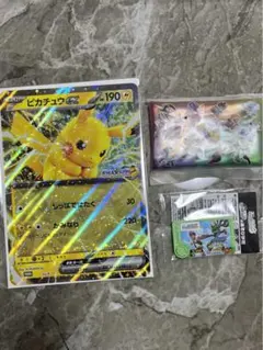 ポケモン　メガスタンプラリー　2025 JR東日本　3点セット