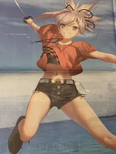 FGO 新聞 宮本武蔵 和歌山 ③