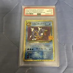 2026年最新】ギャラドス psa10の人気アイテム - メルカリ
