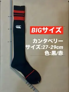 《カンタベリー/27-29cm》ラグビーソックス_277