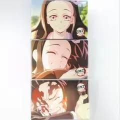 鬼滅の刃 絆の奇跡.そして柱稽古へ 場面写スクエア缶バッチセットA