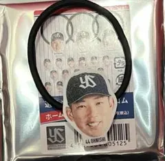 Item thumbnail for item 18bba758-333b-433c-87a9-4e22834e09e3