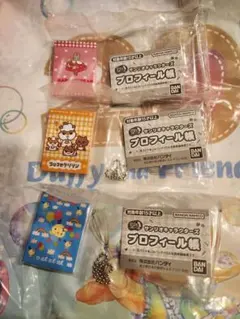 サンリオ　キャラクターズ　プロフィール帳　3個セット　新品未使用