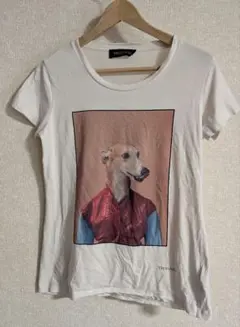 TRUSSARDI 半袖Tシャツ グレイハウンドのサムネイル