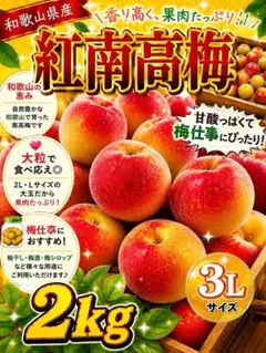 今年も入荷‼️和歌山県産 完熟南高梅 超大玉‼️4Lサイズ 3kg みかん