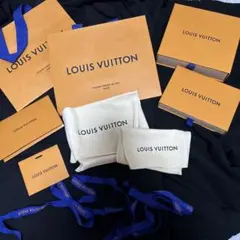 LOUIS VUITTON ショップ袋・布袋セット