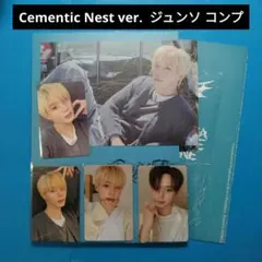 ALD1 少年 beast cementic nest ジュンソトレカ - メルカリ