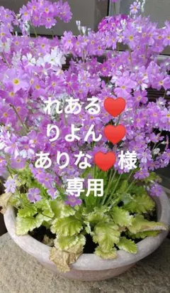 れんこん　その他　れある♥りよん♥ありな♥様専用