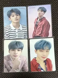 SEVENTEEN 舞い落ちる花びら ウォヌ