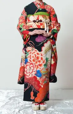 ≪美品≫正絹　振袖9点フルセット【901】【155cm~165cmの方用】