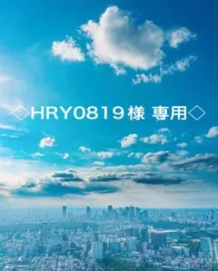 ◇HRY0819様 ご確認・専用ページ◇