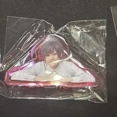 エーステ アクリルクリップ 皆木綴