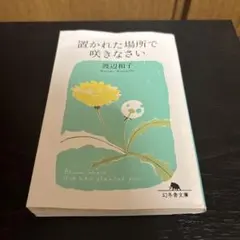 Item thumbnail for item 4d7e3049-4af4-4b38-b654-a27eabc66c85