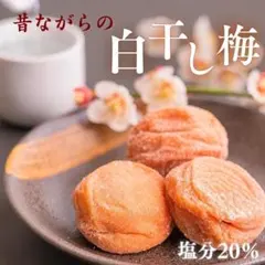 梅干し 白干し梅 紀州南高梅 400g 和歌山県産 白梅干し