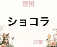 専用