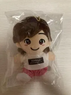 2025年最新】道枝駿佑ちびぬいの人気アイテム - メルカリ