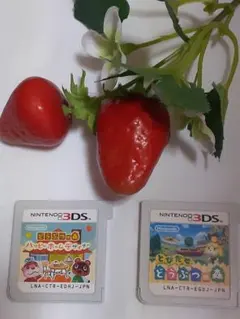 任天堂　3DS とびだせどうぶつの森　ハッピーホームデザイナー