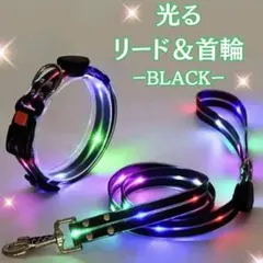 光るリード 首輪USBケーブル　LEDライト　犬 ブラック 夜　お散歩　安全