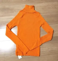 Item thumbnail for item 3dd71037-32b8-4d07-95a8-82db098a0e59