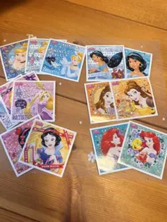 ディズニープリンセス ステッカー 14枚セット