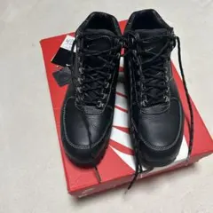 Item thumbnail for item f1bd5da9-0a15-4649-a686-f65814e39fb8