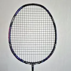 日本未発売】MAXX TORNADO RAVEN 4UG5 - メルカリ